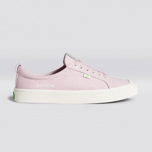 Cariuma Low Top Canvas OCA LOW Damen Pale Lilac | ZNT936578