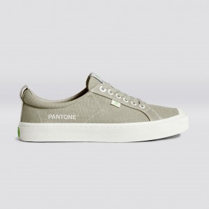 Cariuma Low Top Canvas OCA LOW Damen Plaza Taupe | RKD619705