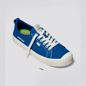 Cariuma Low Top Canvas OCA LOW Herren Blau | XLJ648097