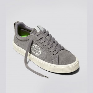 Cariuma Low Top Suede CATIBA PRO Damen Grau | EQR135479