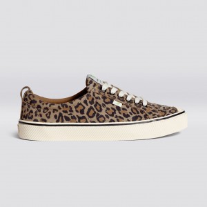 Cariuma Low Top Suede OCA LOW Herren Leopard | YLS971250